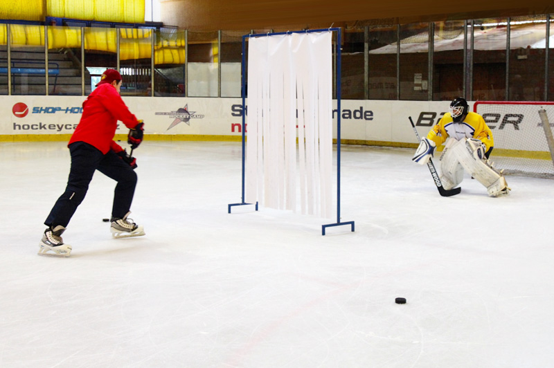 Goalie camps